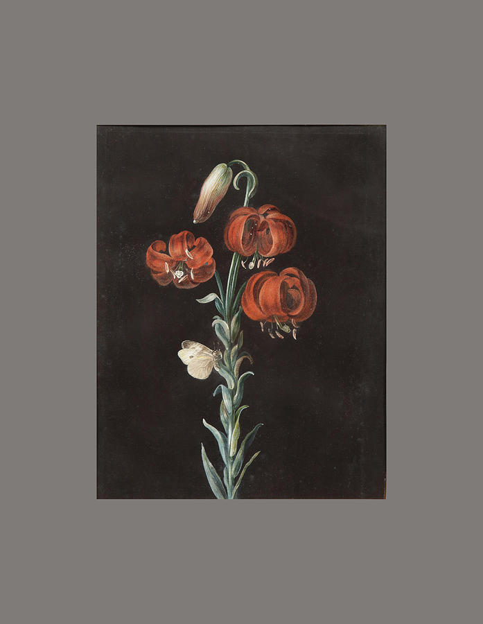 A Turks Cap Lily  , Gouache on Vellum with Frame by Barbara Regina Dietzsch Mid 18th Century Painting by MotionAge Designs