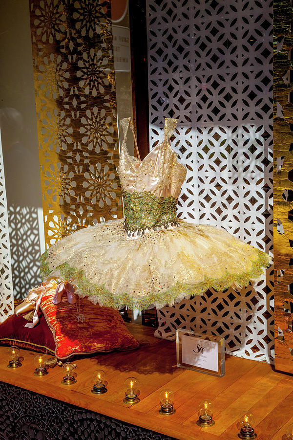 A Tutu in Toulouse Photograph by W Chris Fooshee