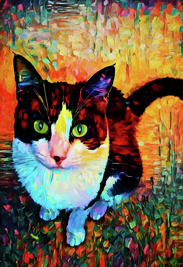 A Tuxedo Cat Named Jaylah Digital Art by Peggy Collins
