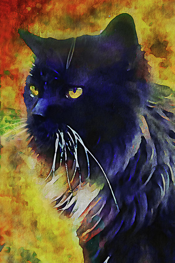 A Tuxedo Maine Coon Cat Named Merlin - Watercolor Mixed Media by Peggy Collins