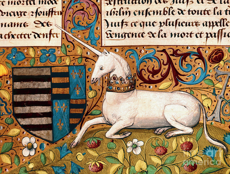 A unicorn and a coat of arms Detail of a 15th century manuscript page Painting by French School