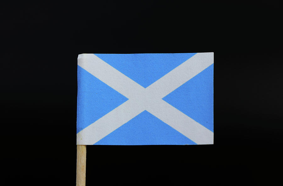 Flag of Scotland Photograph by Vaclav Sonnek
