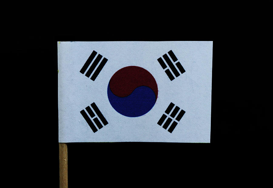 Flag of South Korea Photograph by Vaclav Sonnek