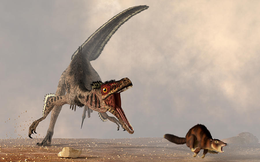 A velociraptor chasing a rat sized mammal. Drawing by Daniel Eskridge/Stocktrek Images