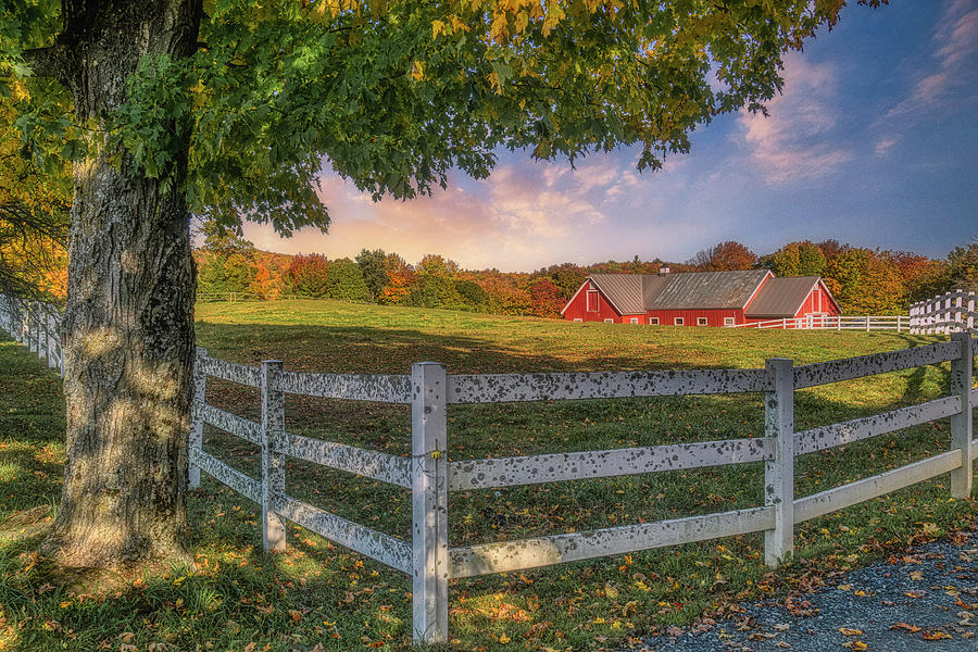 A Vermont Horse Farm Photograph by Penny Polakoff