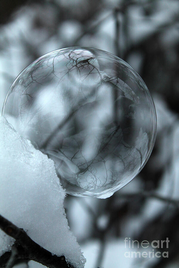 A Very Cold Soap Bubble Photograph by Nina Silver