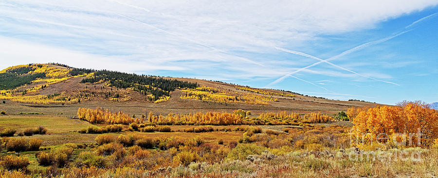 A Very Colorful Colorado Autumn Photograph by Jon Burch Photography