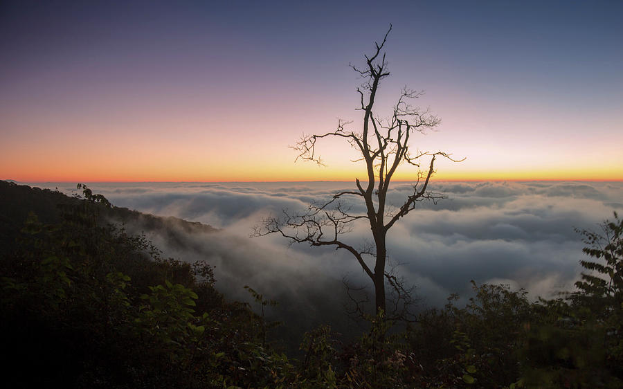Blue Ridge Morning Photograph by Doug McPherson