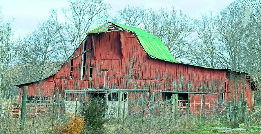 A Very Green Roofed Barn Photograph by Douglas Barnett