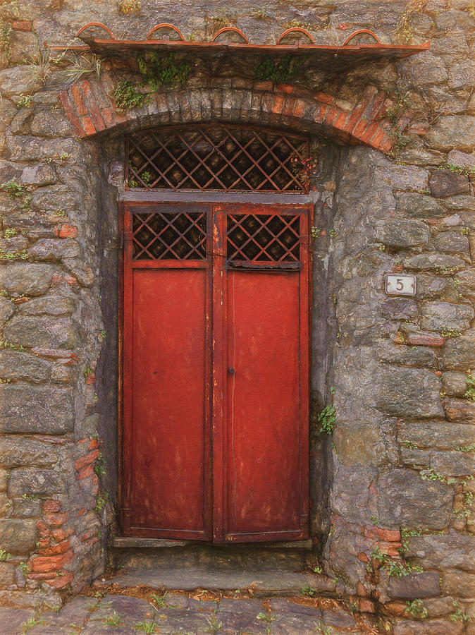 A Very Handsome Red Door Photograph by Marcy Wielfaert