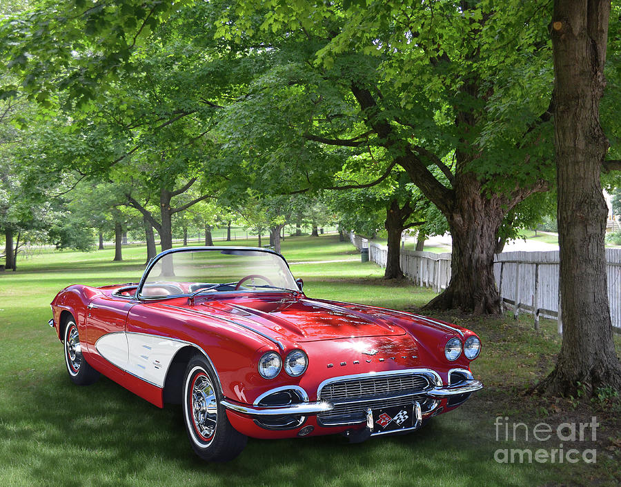 A Vette In The Park Photograph by Ron Long