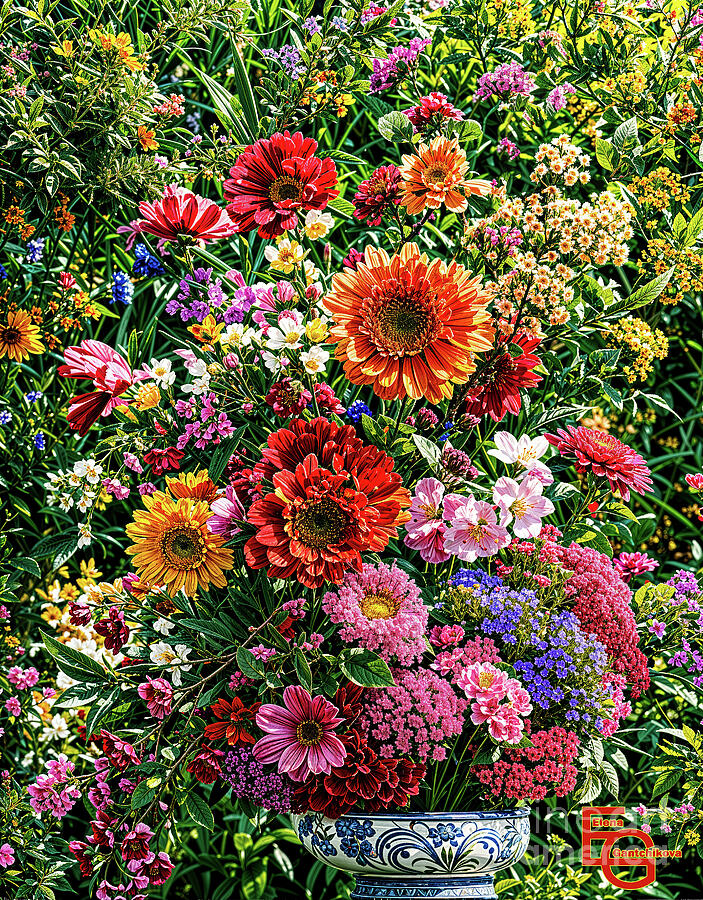 A vibrant bouquet of colorful flowers is arranged in an ornate blue and white vase against a garden Photograph by Elena Gantchikova A vibrant bouquet of colorful flowers is arranged in an ornate blue and white vase against a garden Photograph by Elena Gantchikova
