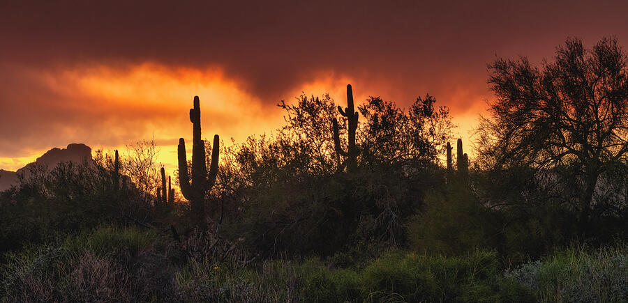 A Vibrant Orange Sunset Photograph by Saija Lehtonen - Fine Art America