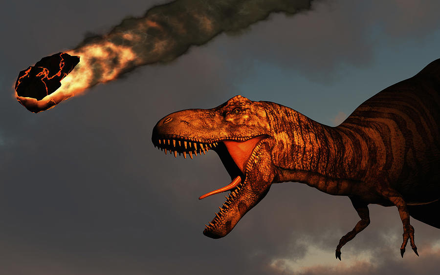 A vicious T-rex dinosaurs observing a falling asteroid. Drawing by Mark Stevenson/Stocktrek Images