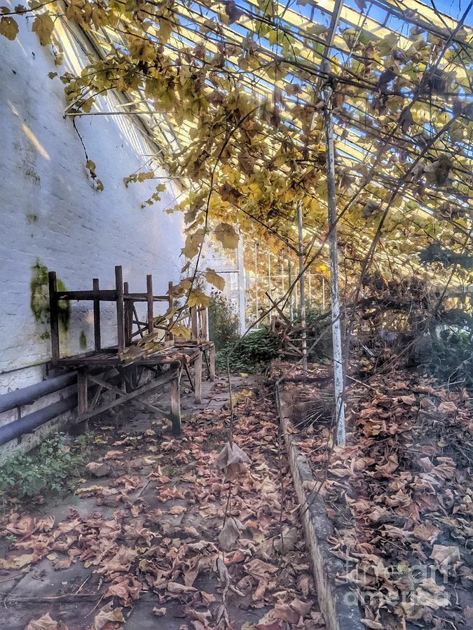 A Victorian Greenhouse Forgotten by Abbie Shores A Victorian Greenhouse Forgotten by Abbie Shores