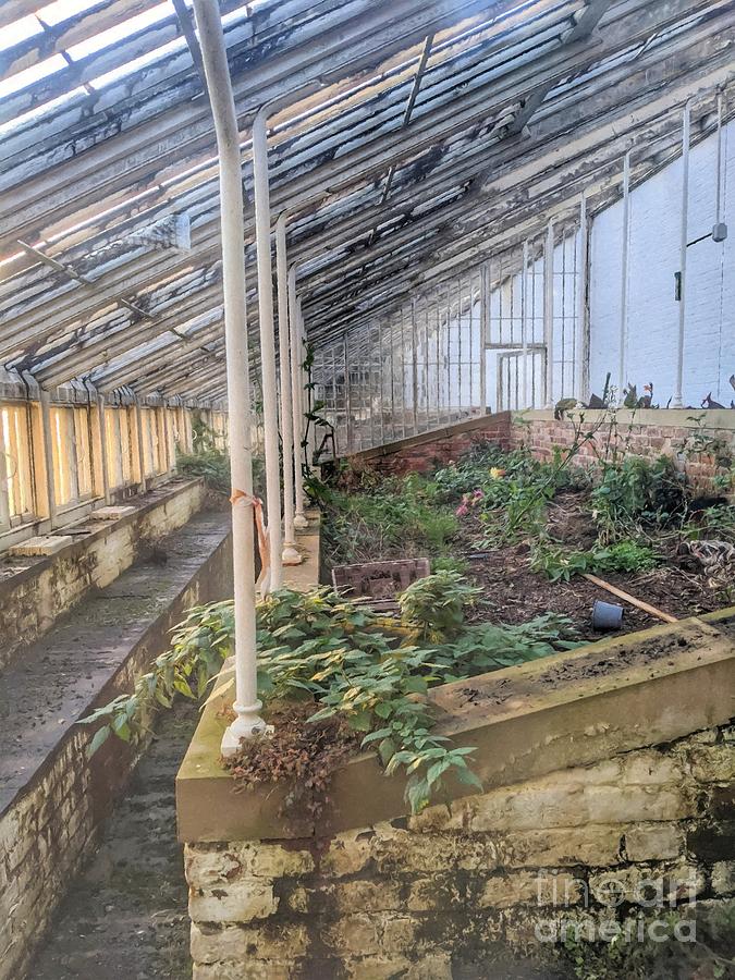 A Victorian Greenhouse Forgotten Two by Abbie Shores A Victorian Greenhouse Forgotten Two by Abbie Shores