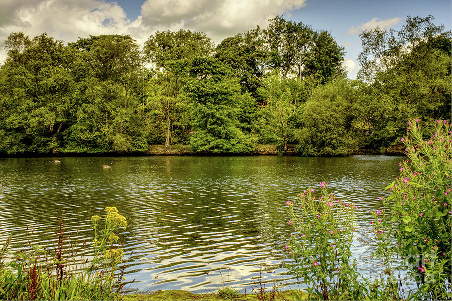 A view across the fishing lake, Alkington Woods, Manchester, UK Photograph by Pics By Tony