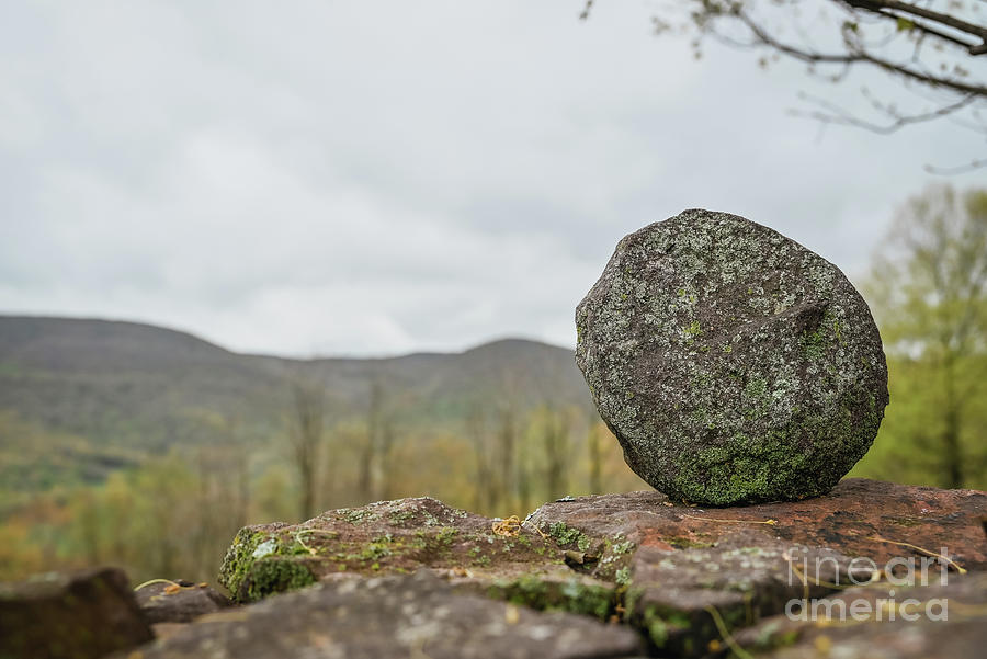 A View for a Rock  Photograph by Laura Honaker