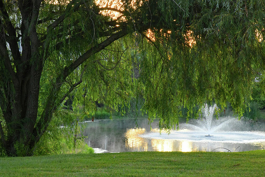 A View From A Window Photograph by Robert Tubesing - Fine Art America