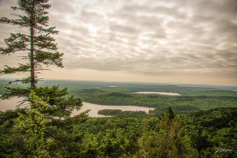 A View From Allagash Mountain Photograph