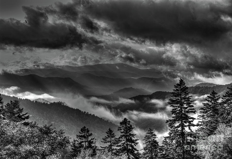 A View From Clingmans Dome Photograph by Douglas Stucky