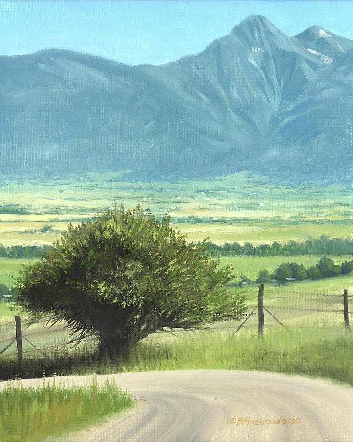 Bison Painting - A view from the National Bison Range, MT by Bill Finewood