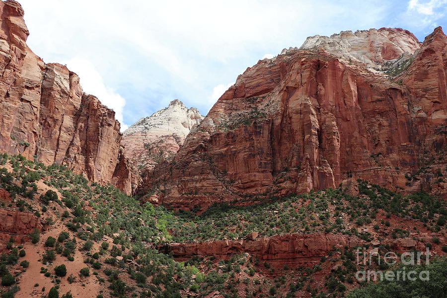 Zion National Park Photograph - A View From Zion Mount Carmel Highway by Christiane Schulze Art And Photography