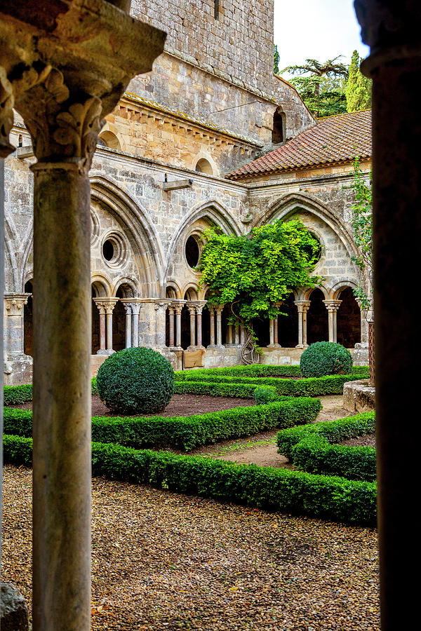 A View into a Cloister Garden Photograph by W Chris Fooshee