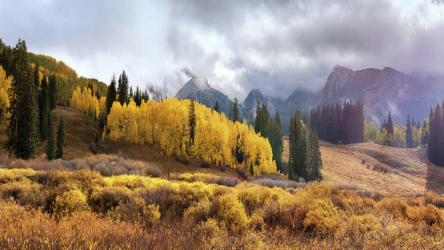 A view of Fall Mountain Scenic, Kebler Pass, near Crested Butte, Colorado Photograph by OLena Art