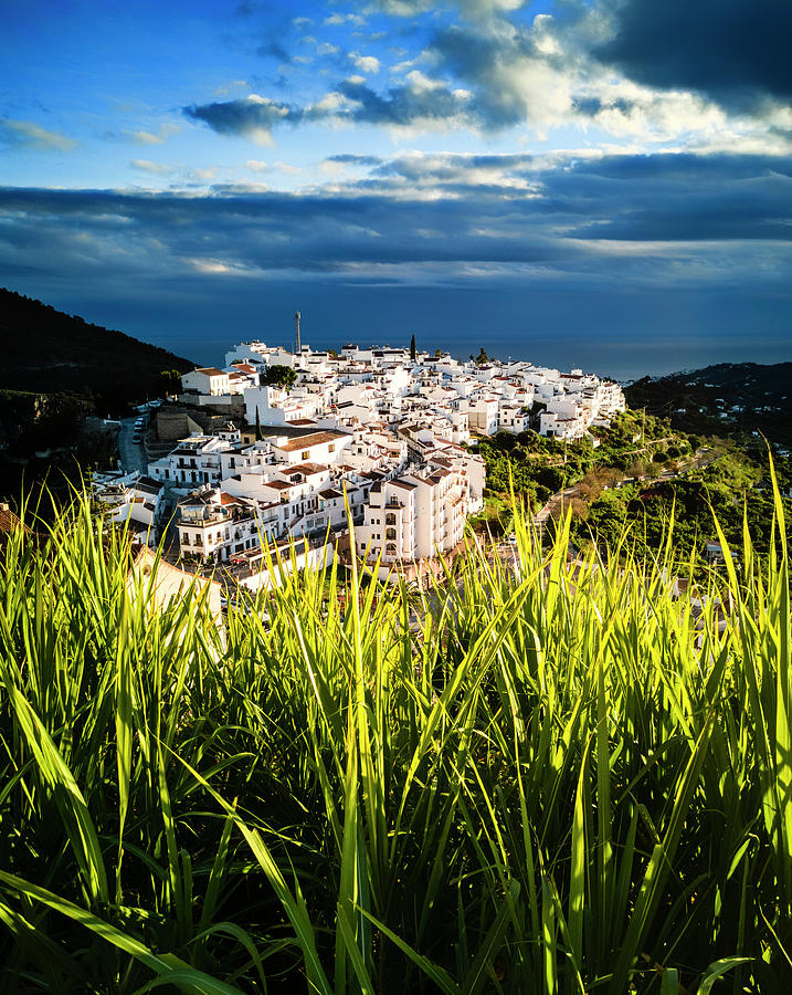 A view of of the new part of Frigiliana, with sugar cane in the foreground. Malaga province Photograph by Panoramic Images