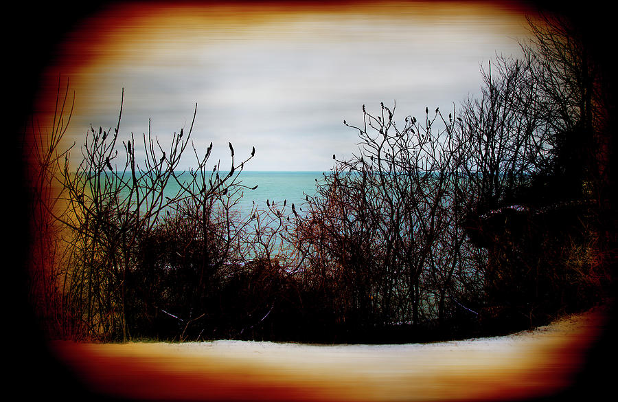 A view of the lake through the bushes  Photograph by Milena Ilieva