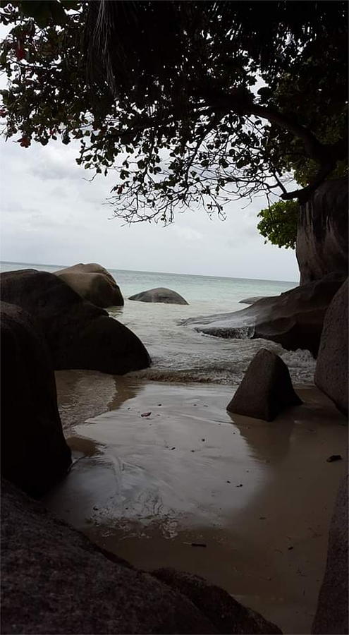 A View of the Sea in Seychelles KN7 Digital Art by Art Inspirity