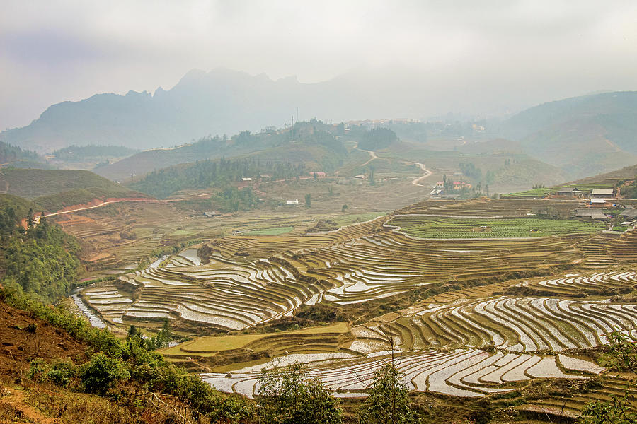 A view over a Vietnamese landscape of rice terraces in winter, Sapa, Vietnam  Photograph by Snap-T Photography - Pixels