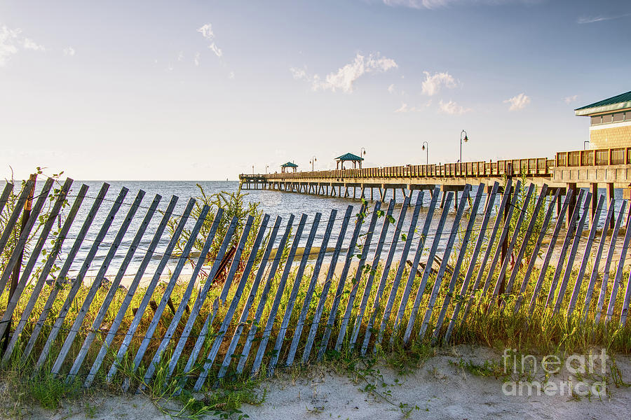 A View Over The Beach Fence Photograph