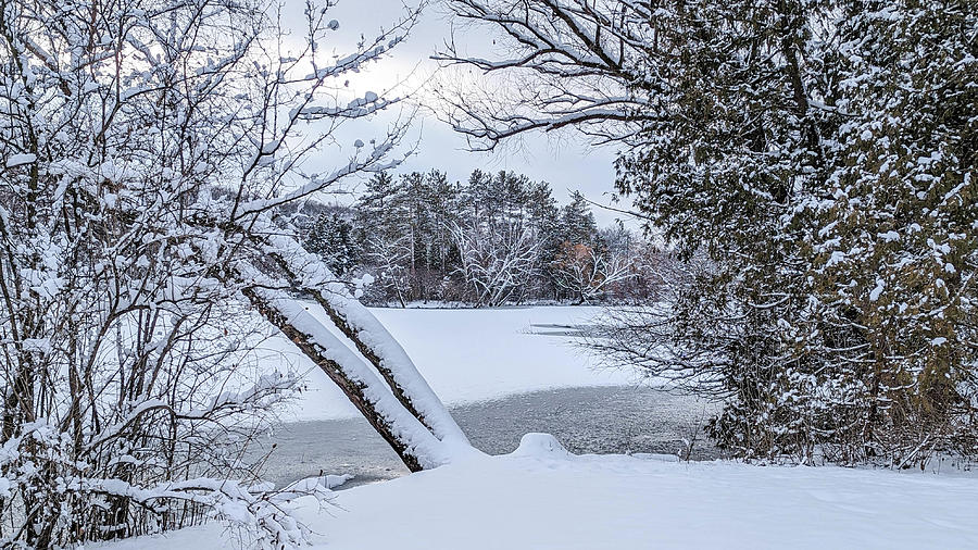 A View To A Winter Lagoon Photograph by Kimberly Mackowski