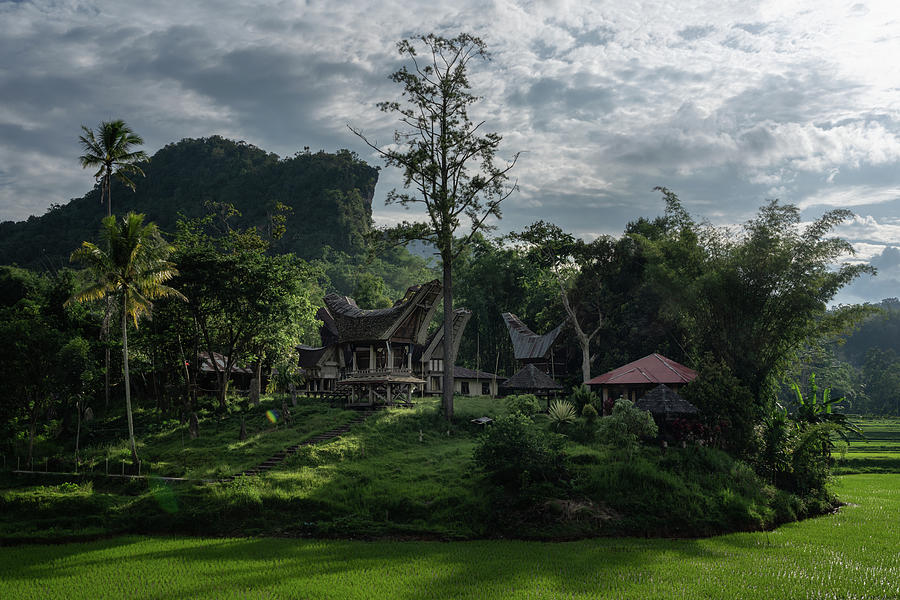 A village in the Toraja highlands Photograph by Anges Van der Logt