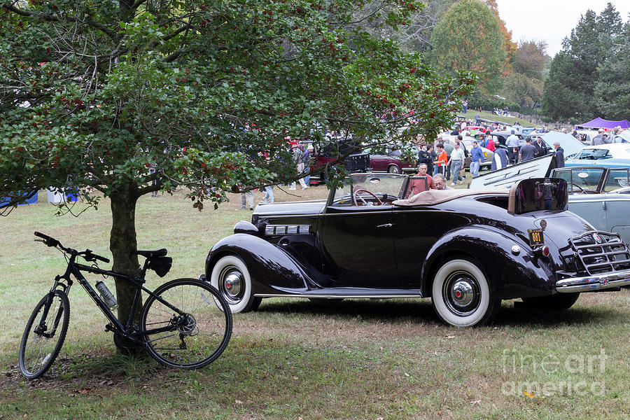 A Vintage Packard convertible at an antique car show Photograph by William Kuta