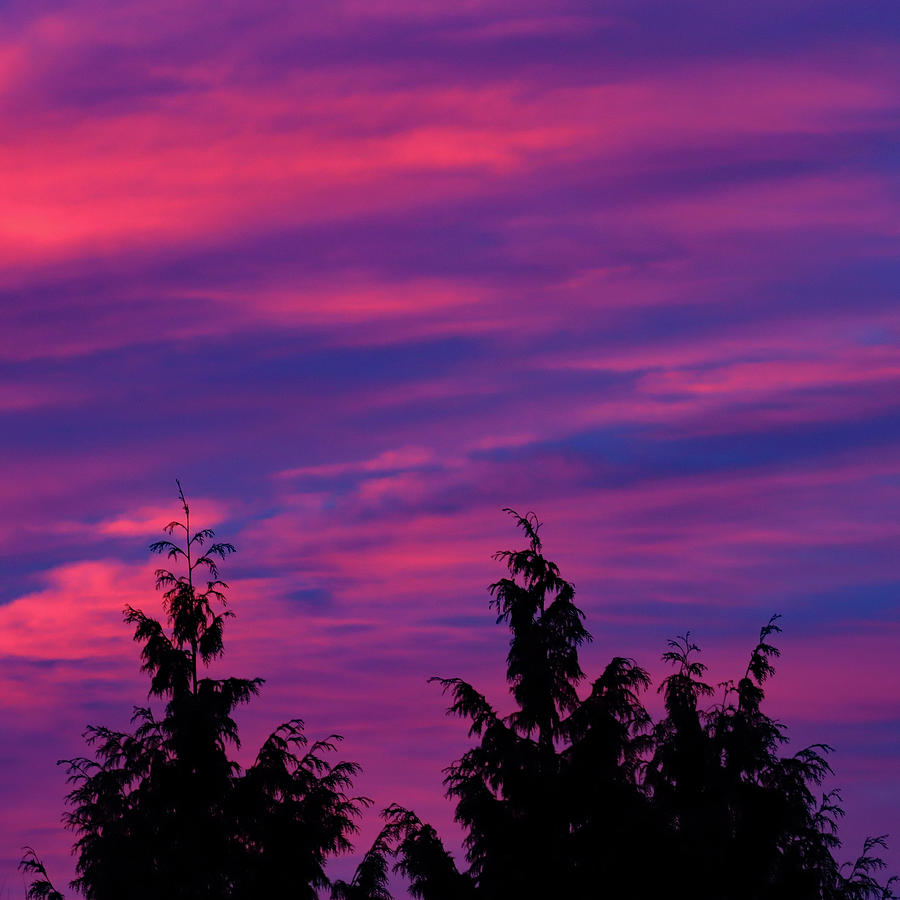 A Vivid Sunrise Photograph by Joseph Siebert | Fine Art America