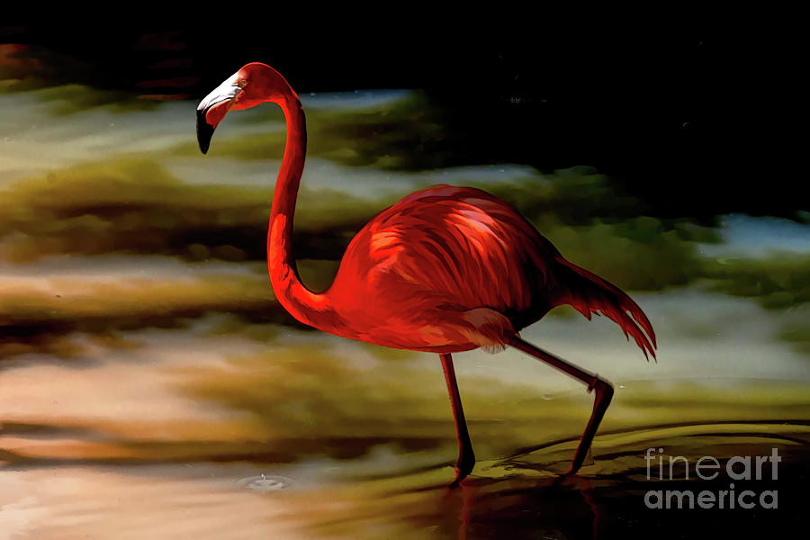 A Wading Bird at Daybreak Photograph by Diana Mary Sharpton