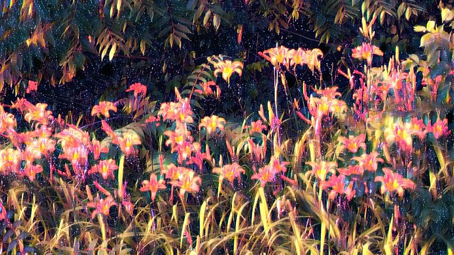 A Walk Among the Lilies  Digital Art by Ally White