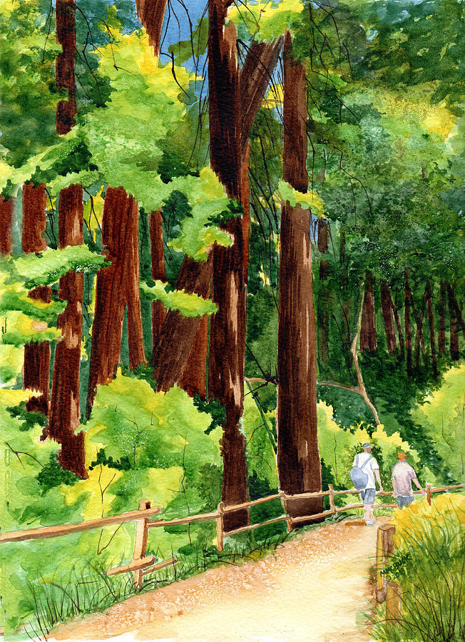 A Walk In Muir Woods Painting
