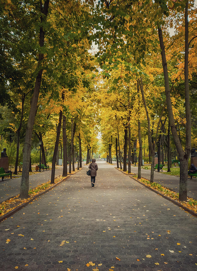 A Walk In The Autumn Park Photograph