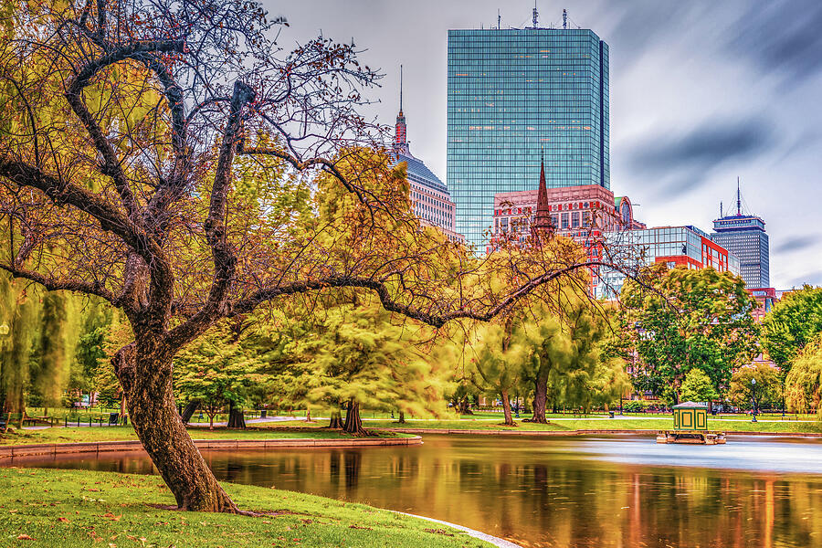 A Walk In The Park - Boston Public Garden Photograph by Gregory Ballos