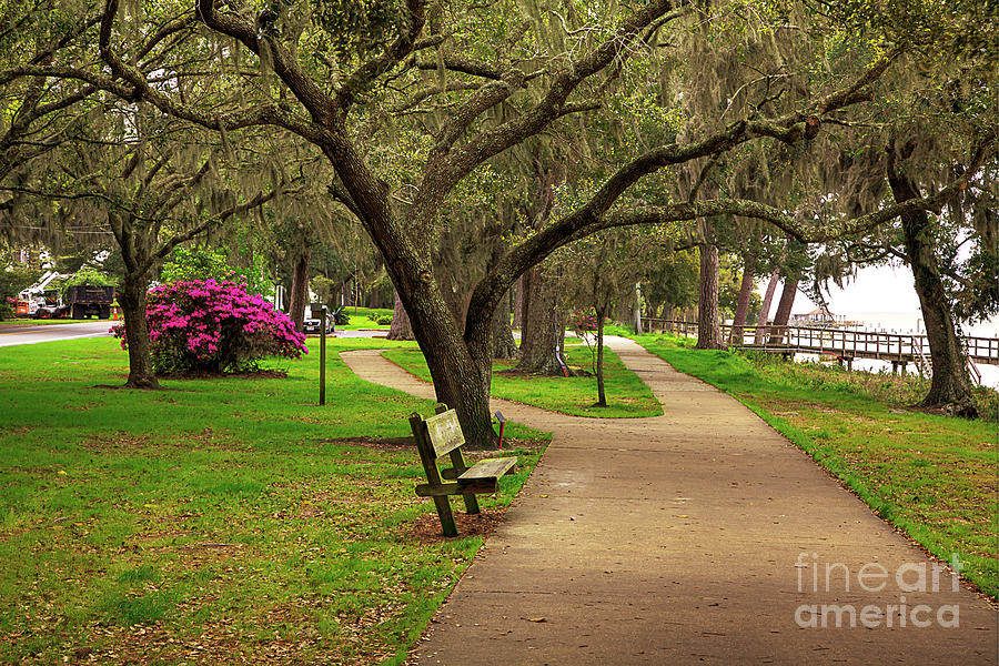 Travel Photograph - A Walk In The Park by Larry Braun Travel Photograph - A Walk In The Park by Larry Braun