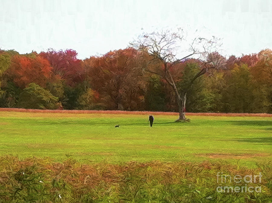 Fall Photograph - A Walk in the Park - Man and his Best Friend by Xine Segalas