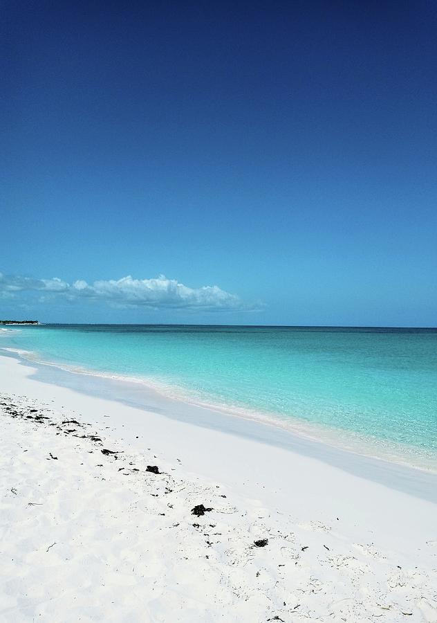 A Walk in the Sand Photograph by Amy Hamilton - Fine Art America