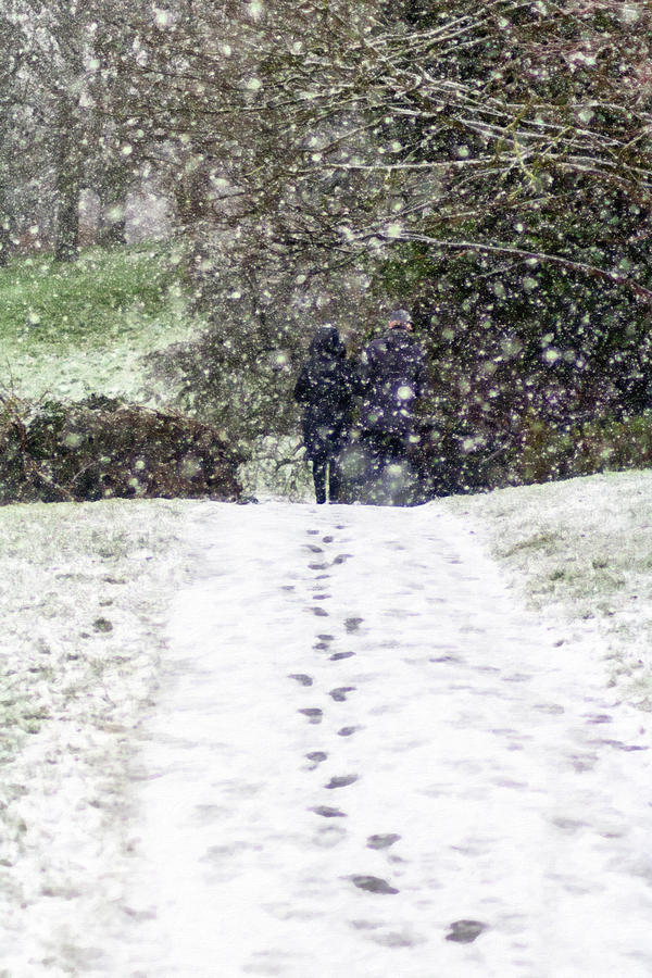 A Walk in the Snow Digital Art by LGP Imagery