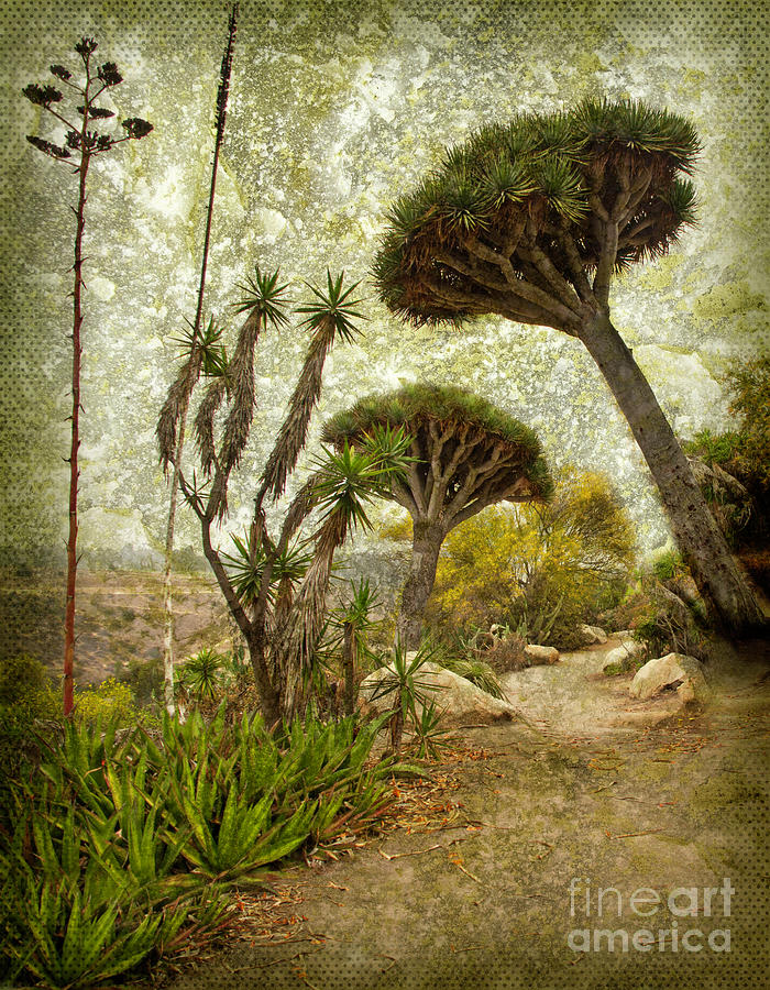 A Walk On the Wild Side - Vertical - Dragon Trees, Desert Cactus Garden, Balboa Park, San Diego Photograph by Denise Strahm