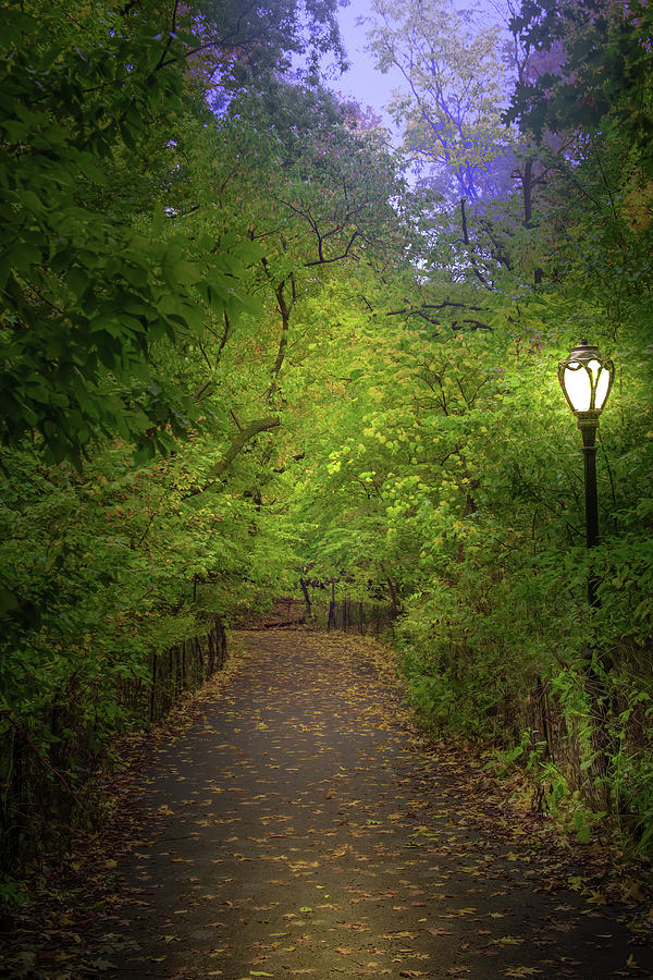 A Walk Through Central Park Photograph by Mark Andrew Thomas