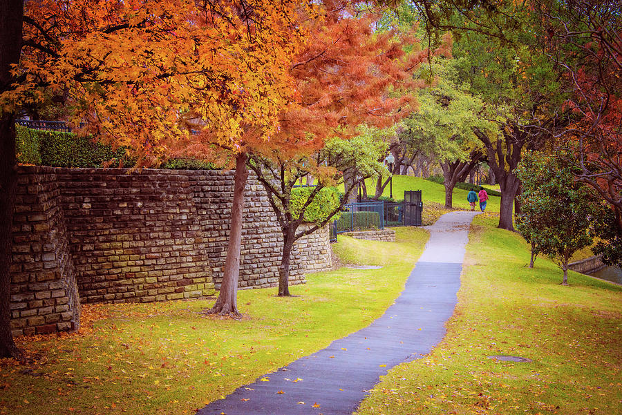 A Walk Through Fall Photograph by Lynn Bauer
